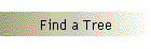 Find a Tree