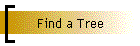 Find a Tree