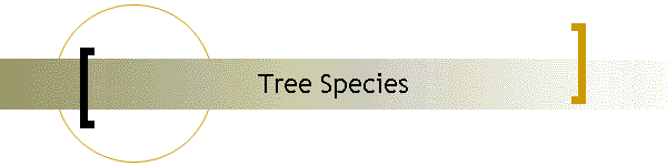 Tree Species