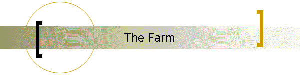 The Farm