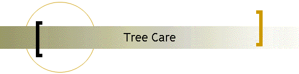 Tree Care